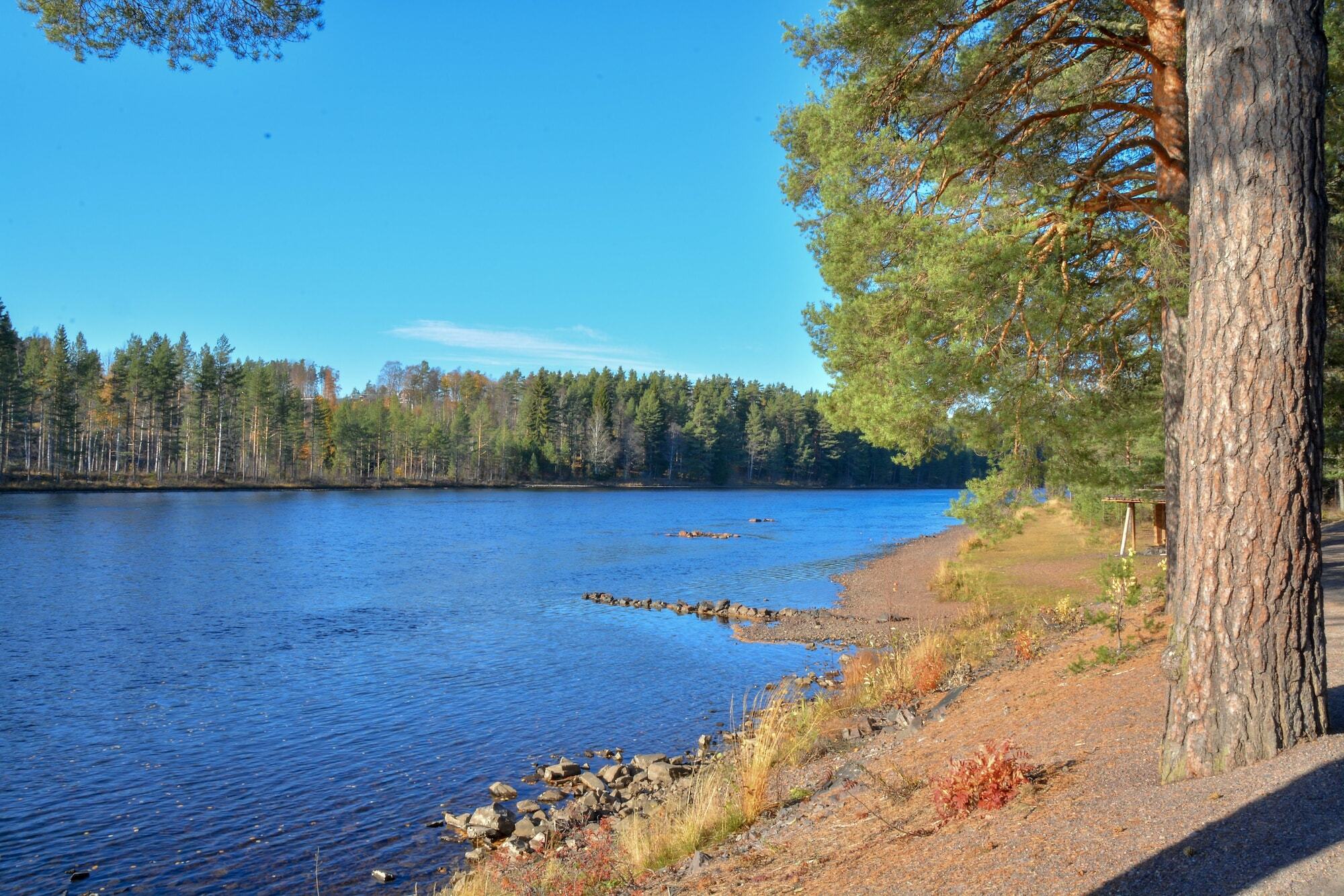 Aelvdalens Camping Экстерьер фото